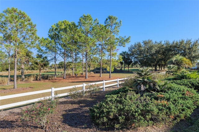 view of yard with a rural view