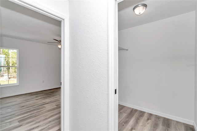 19925 SW Lark Dr, Dunnellon, FL 34431 - hall with wood finished floors and baseboards