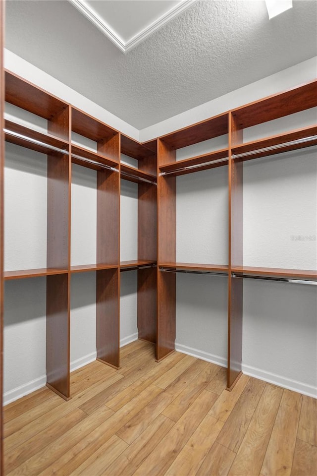 spacious closet with light hardwood / wood-style floors