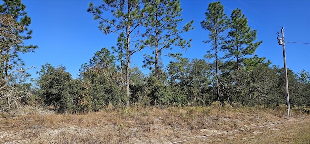 LOT10 SW Nectarine Ln, Dunnellon FL, 34431 land for sale