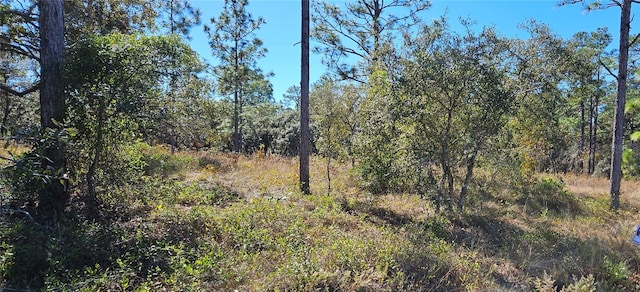 LOTS34 SW Mango, Dunnellon FL, 34431 land for sale