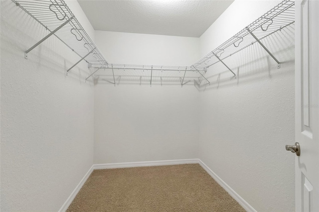 walk in closet with carpet