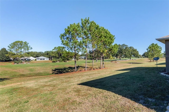 9350 SW 91st Court Rd, Ocala, FL 34481 - view of green lawn
