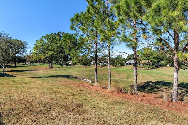 9350 SW 91st Court Rd, Ocala, FL 34481 - view of grassy yard