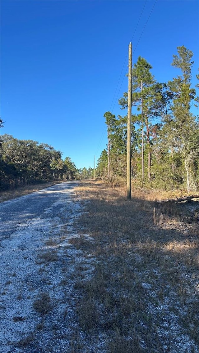 10729 SE 132nd Ct, Dunnellon FL, 34431 land for sale