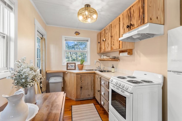 kitchen with sink, light hardwood / wood-style flooring, kitchen peninsula, crown molding, and white appliances