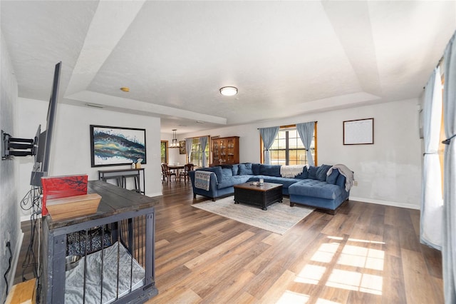 living room with wood-type flooring and a tray ceiling