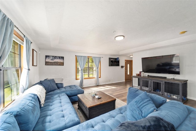 living room featuring hardwood / wood-style floors and a textured ceiling