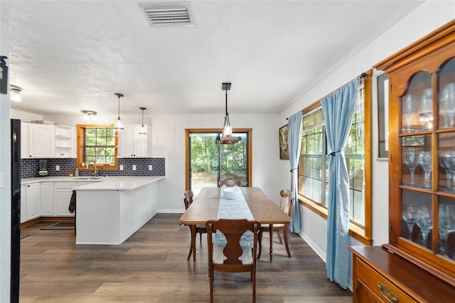 dining space featuring dark hardwood / wood-style floors and sink