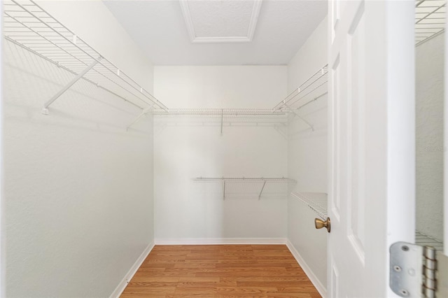 spacious closet featuring hardwood / wood-style floors