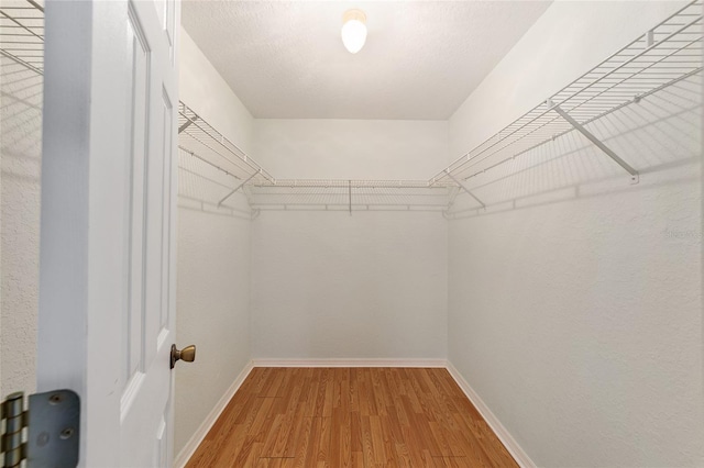 spacious closet with hardwood / wood-style floors