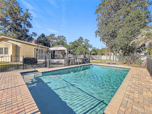 view of pool featuring a patio