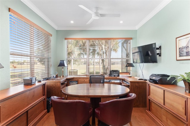 office space featuring ceiling fan, light hardwood / wood-style floors, and crown molding