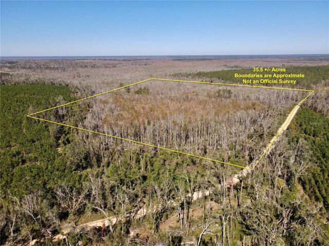 00 SW Sampala Lake Rd, Madison FL, 32340 land for sale