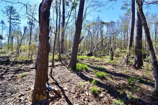 00 SW Sampala Lake Rd, Madison, FL 32340 - photo 4