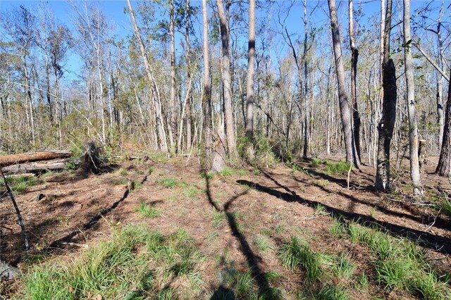 00 SW Sampala Lake Rd, Madison, FL 32340 - photo 5