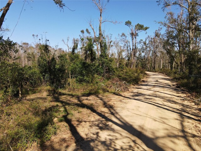 00 SW Sampala Lake Rd, Madison, FL 32340 - photo 8