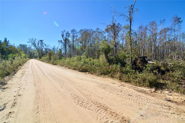 00 SW Sampala Lake Rd, Madison, FL 32340 - photo 9