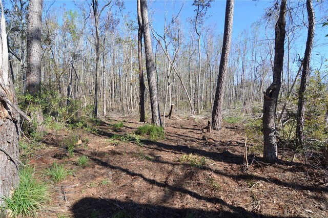 00 SW Sampala Lake Rd, Madison, FL 32340 - photo 10