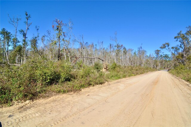 00 SW Sampala Lake Rd, Madison, FL 32340 - photo 11