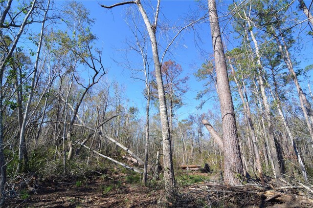 00 SW Sampala Lake Rd, Madison, FL 32340 - photo 13