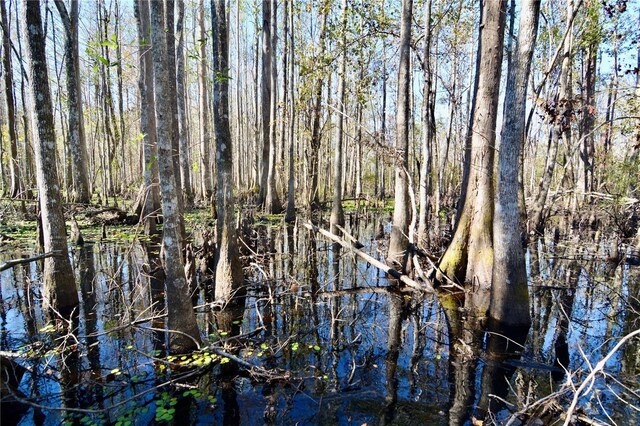 00 SW Sampala Lake Rd, Madison, FL 32340 - photo 14