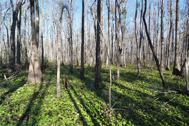 00 SW Sampala Lake Rd, Madison, FL 32340 - photo 15