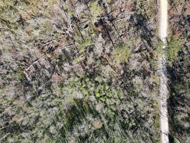 00 SW Sampala Lake Rd, Madison, FL 32340 - photo 16