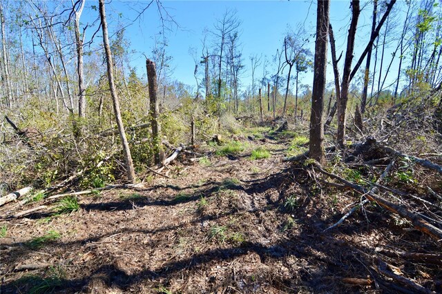 00 SW Sampala Lake Rd, Madison, FL 32340 - photo 18