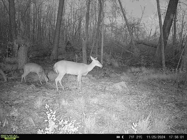 00 SW Sampala Lake Rd, Madison, FL 32340 - photo 25