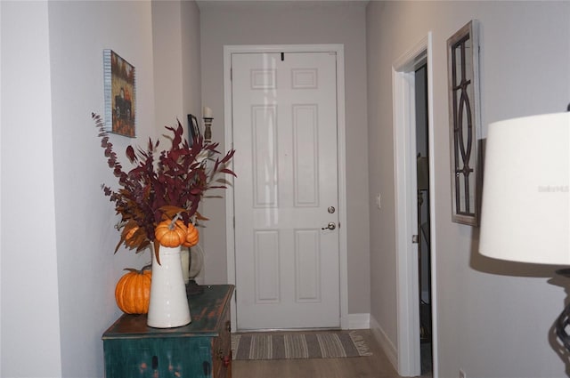 doorway with hardwood / wood-style flooring