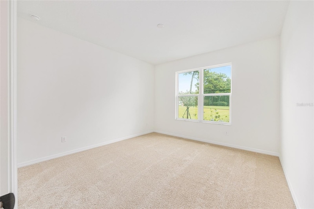 5912 NE 57th Loop N, Silver Springs, FL 34488 - photo 36