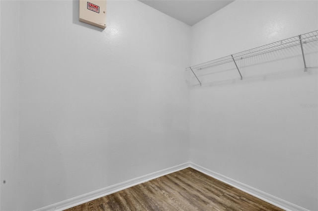 spacious closet featuring hardwood / wood-style flooring