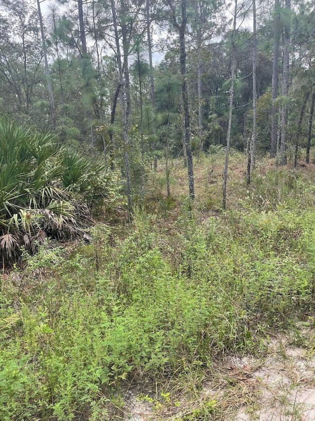 LOT7 SW 159th Ave, Ocala FL, 34481 land for sale