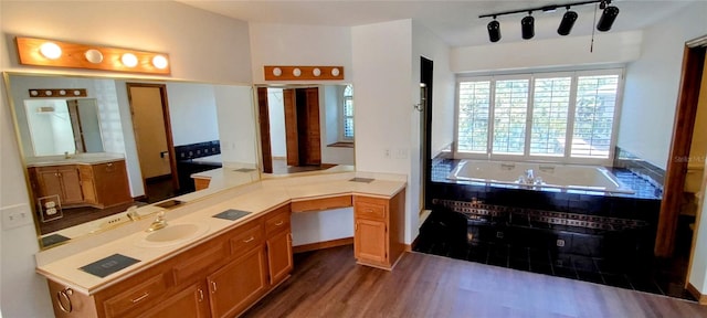 bathroom with wood-type flooring and sink