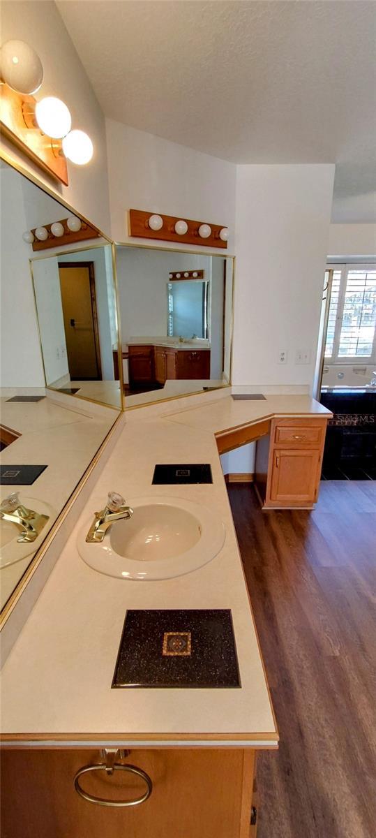 bathroom with hardwood / wood-style floors and sink