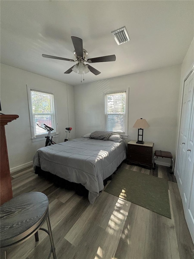 bedroom with ceiling fan, a closet, dark wood-type flooring, and multiple windows