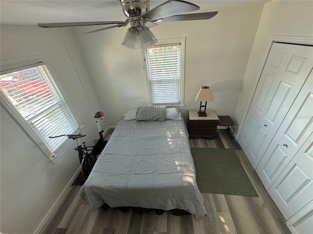 bedroom with hardwood / wood-style flooring, ceiling fan, and multiple windows