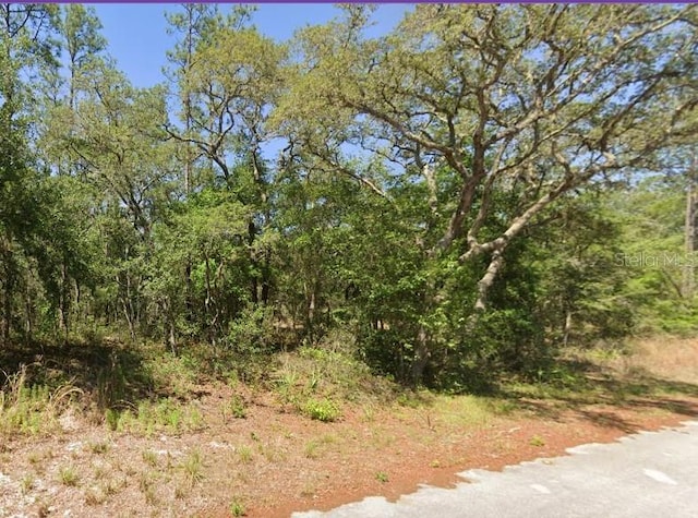 Listing photo 3 for SW Beaver Dr, Dunnellon FL 34431