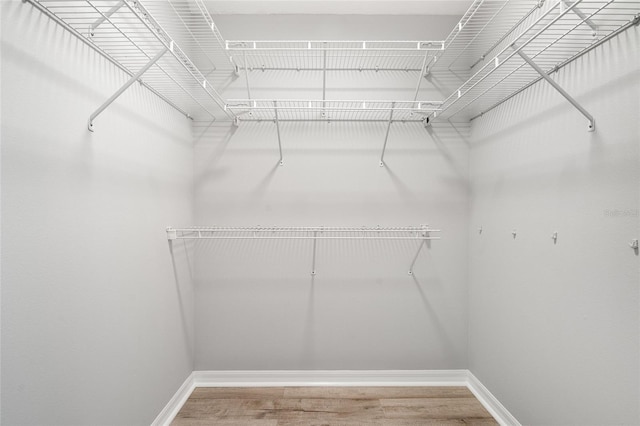 walk in closet with hardwood / wood-style flooring