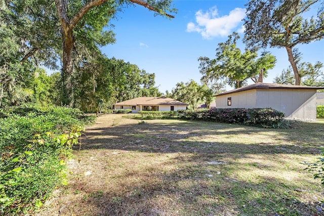 view of yard