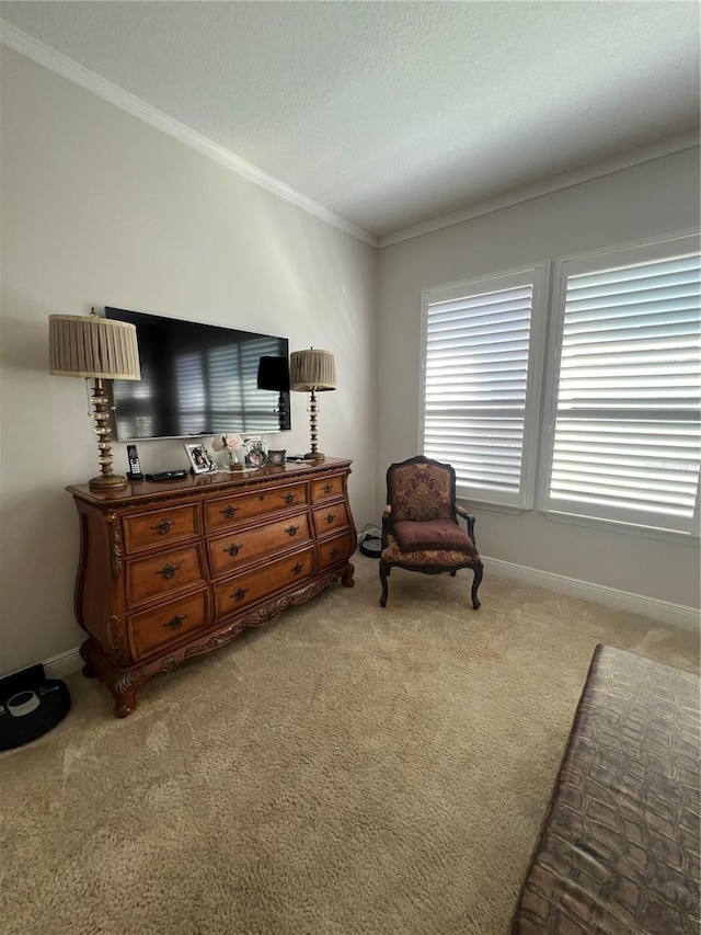 sitting room featuring light carpet, a textured ceiling, and ornamental molding