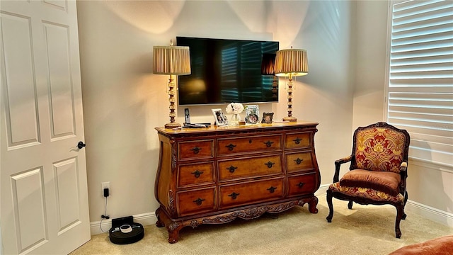 living area featuring light colored carpet