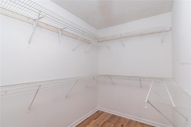 spacious closet with wood-type flooring