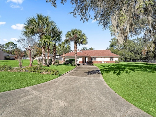 ranch-style house with a front yard