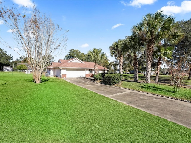 ranch-style home featuring a front yard