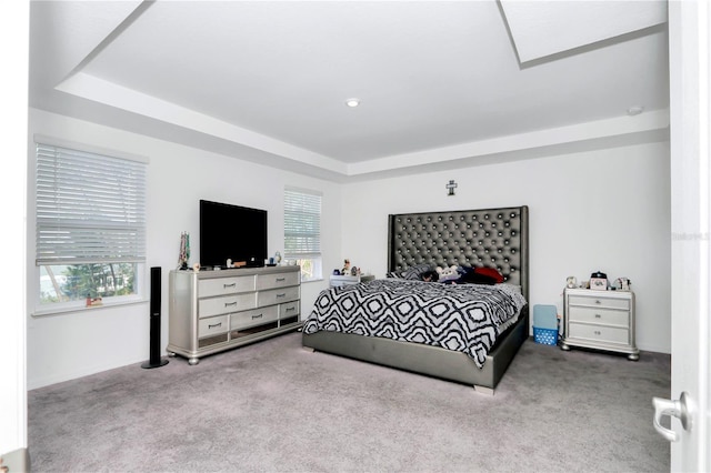4313 SW 106th Pl, Ocala, FL 34476 - bedroom with carpet flooring and a raised ceiling