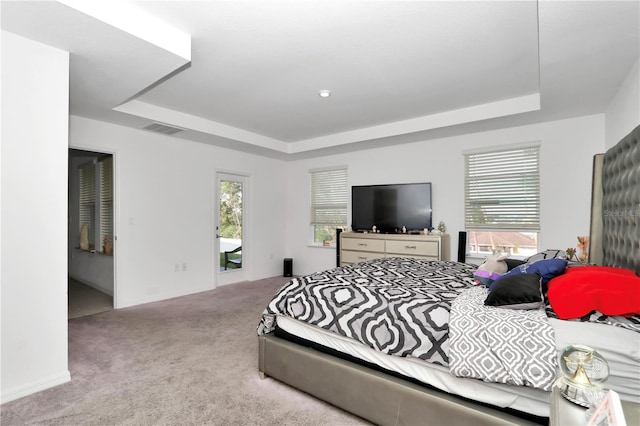 carpeted bedroom featuring a raised ceiling