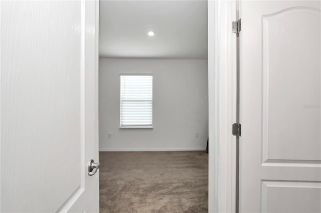 spare room featuring carpet floors