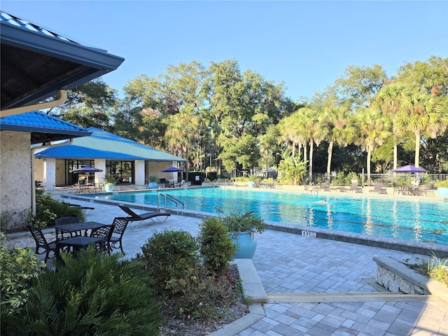 view of swimming pool with a patio area